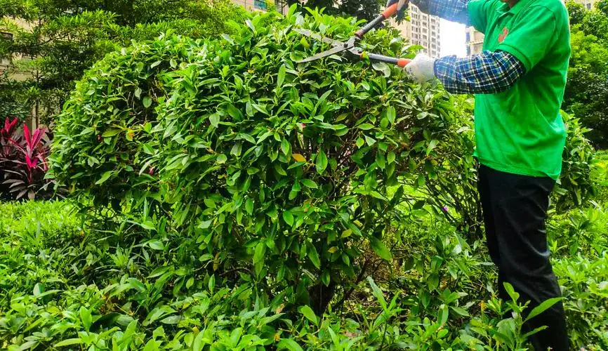 慧林园林绿化工程