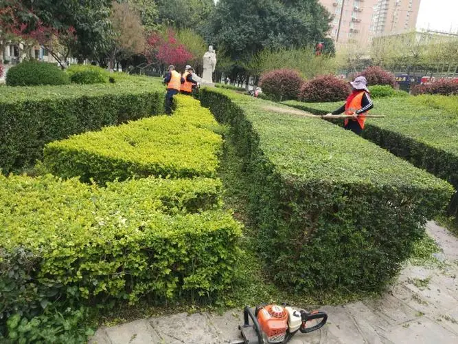 住宅小区绿化工程清单范本