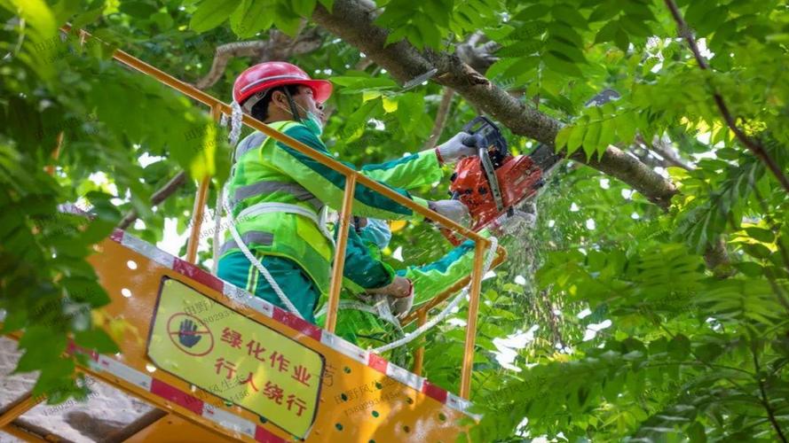 潢川火车站绿化工程项目